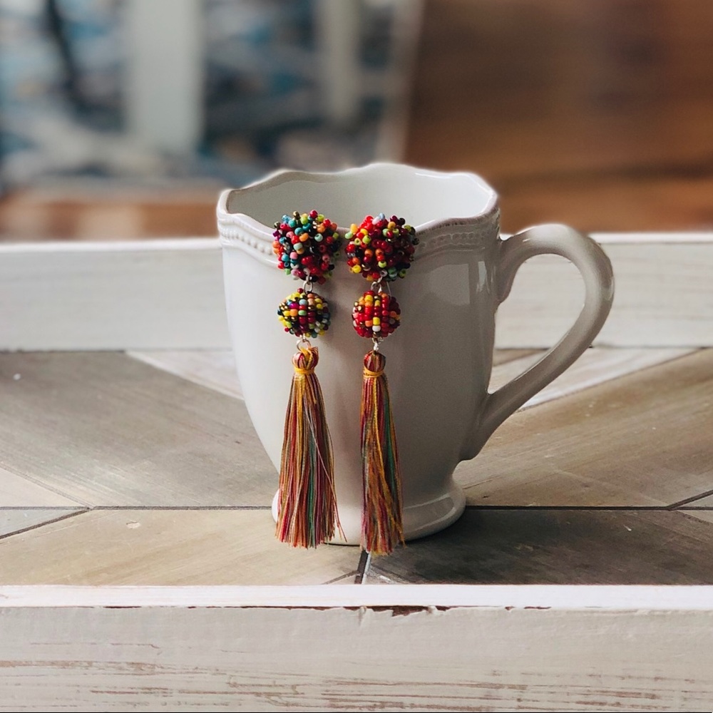 Multi Seed Bead Tassel Earrings
